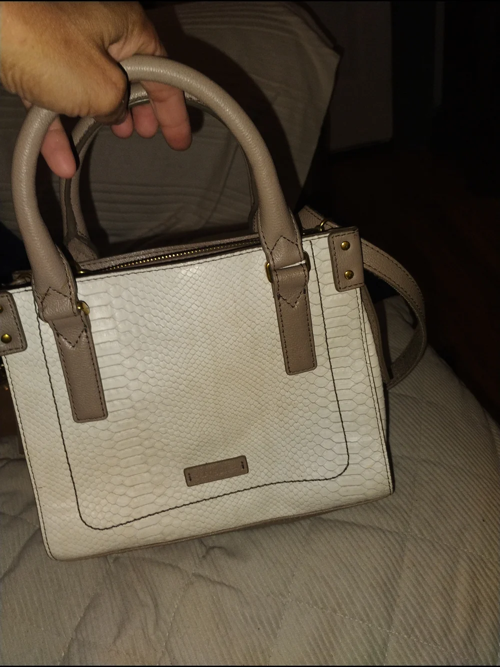 Fossil Cream and Taupe Snake Textured Satchel